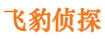 介休市侦探公司